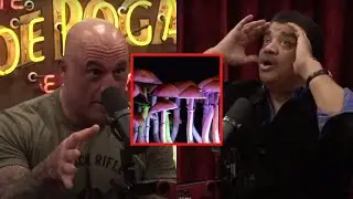 Joe Rogan FIGHTS Neil Degrasse Tyson Over Magic Mushrooms