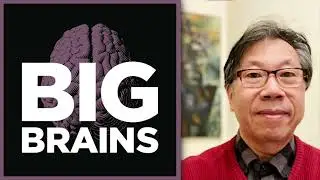 Extreme Heat Waves: Why Are They Surging? Big Brains Podcast with Noboru Nakamura