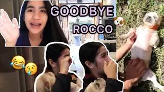 I PRANKED MY TWIN! (IYAK SYA IH HAHAHA)