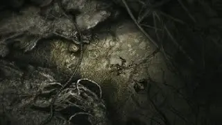 Darkwood | Locations: Radio Tower (All Secrets)