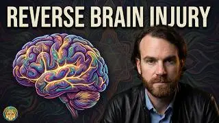 New research suggests that ibogaine (iboga) can reverse brain injury | Dr. Nolan Williams