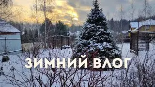 Влог: ОПОЗДАЛА С УКРЫТИЕМ/ЗИМА НАЧАЛАСЬ РЕЗКО