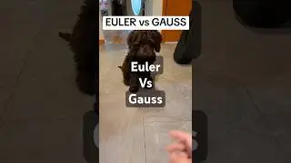 Euler vs Gauss... Only Kaia can decide 