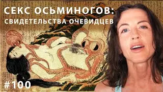 Секс осьминогов: свидетельства очевидцев // Всё как у зверей №100