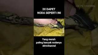 akalin nod acta tanpa tiner
