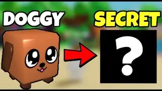 I went DOGGY To SECRET In Bubble gum mayhem
