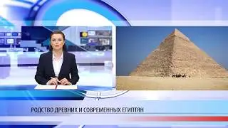 ДНК древних мумий