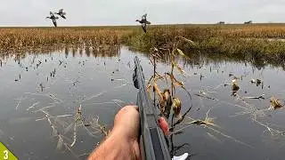 OPENING Weekend Hunt in FLOODED CORN | Duck Hunting