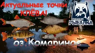 Current fishing spots in Komarino. Current as of September 19, 2025. Russian Fishing 4.