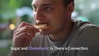The Connection Between Cholesterol and Sugar: How Can You Control Your Sugar and Cholesterol Levels?
