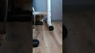 Отец наблюдает за игрой своего сына