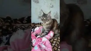 2 февраля 2021 г.