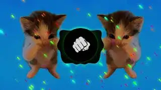 DJ KICAU KICAU KICAU MANIA SLOW VIRAL TIKTOK FULL SONG MAMAN FVNDY 2026 