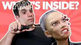 How Robots Think
