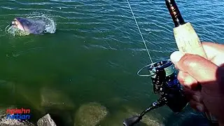 Hooked Into Big One !