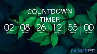 How to Make a Day Countdown Using Rainmeter | VELONYX TEC Tutorial