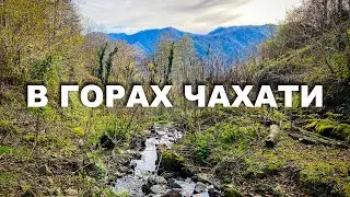 В горах Чахати | Декабрь 2021 | #Грузия #Отъехавшие
