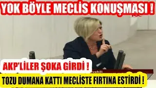 Yok Böyle Meclis Konuşması !  CHP Mv. Selin Sayek BÖKE Mecliste Tozu Dumana Kattı ! AKP'liler ŞOK !