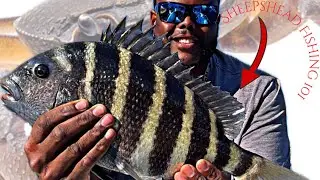 SheepsHeads Fishing (WHY THIS BAIT WORK SO GREAT)