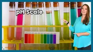 What is the pH scale and how can it be used to identify the strength of Acids and Bases?