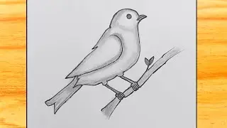 Simple Bird Drawing | Easy pencil sketch and Shading | Drawing Bird