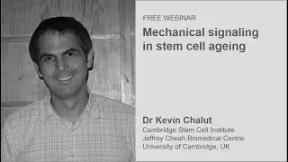 Mechanical signaling in stem cell ageing