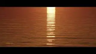 SZABBER films  Nr;  7