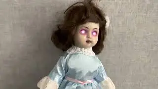 EMF detector haunted twin doll