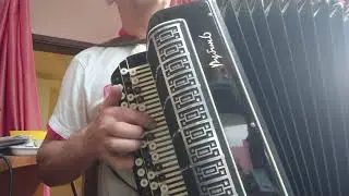 Баян Рубин 6.