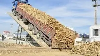 Amazing Modern Dump Truck At New Level Dangerous Dump Truck Heavy Equipment Machines Working