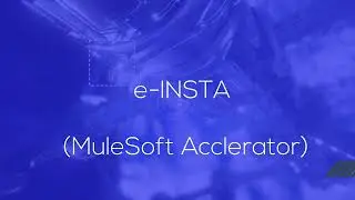 e-Insta MuleSoft Salesforce Accelerator