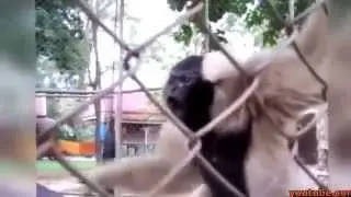 смешное видео ржачь да и только