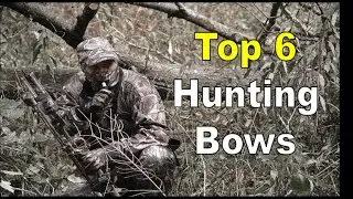 Best Hunting Bows 2020