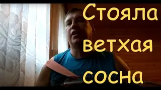Стояла ветхая сосна