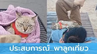 คุณแม่เผยประสบการณ์ พาลูกเที่ยวครั้งแรก