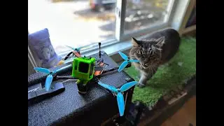 Is it the Day of Rest?..... for the Wicked FPV Flow