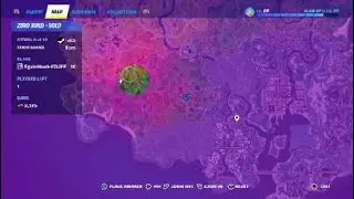 Fortnite vivianne 10 kills