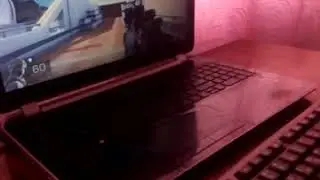 Black sgvad