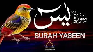 Ramzan World 's Most Beautiful  Recitation of Surah Yaseen (سورة يس ) |Rahmani channel