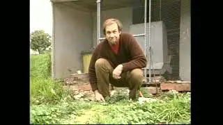 How to Hypnotize a Chook