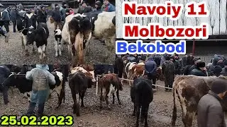 Bekobod Navoiy 11 Molbozori 25.02.2023