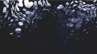 4MFTU - CCJ