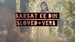 Barsaat  Ke Din Aye || Alka Ygnik & Kumar Sano  || SLOWED REVERB || REVERB MASTER