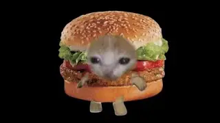 ｂｕｒｇｉｒ．ｅｘｅ