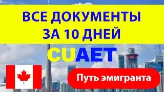 Канада за первые 10 дней, что можно успеть сделать, путь иммигранта