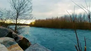 Утро на реке. Рассвет. Звуки природы. Птицы поют. Красивая природа. Релакс. Река.