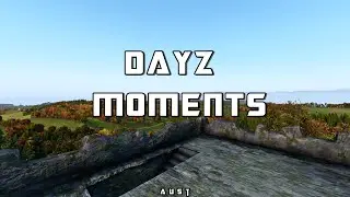 DayZ MOMENTS - A u s t #2