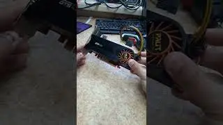 Конфетка из прошлого от Palit