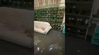 The water flooded the house.. Open!!!!