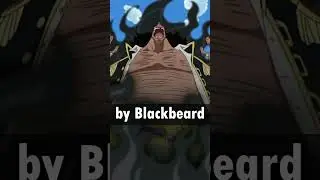 Every Logia Devil Fruit in One Piece!